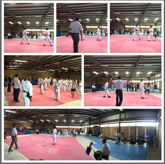 905686_950400801695926_1080575653726987271_o