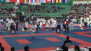 11902267_396926253836895_3266081633427808799_n