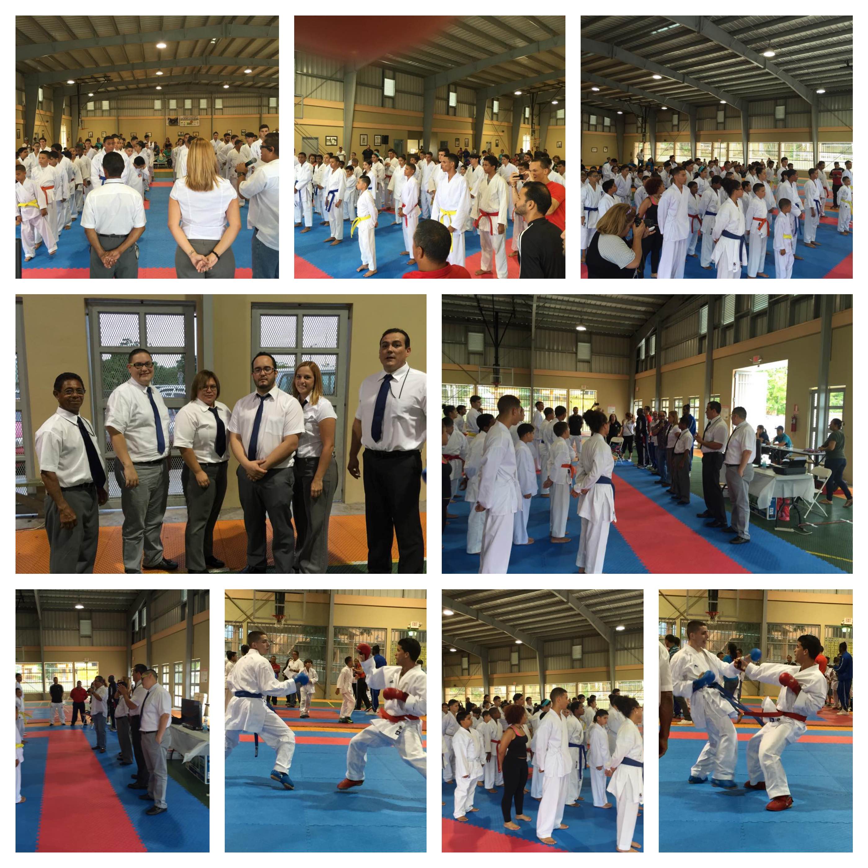 Campeonato region sur:central Aibonito 2015