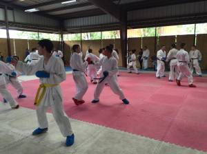 12637322_10153316655051304_1665533122_o