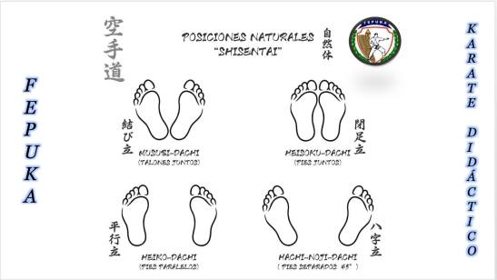 921131_953284898074183_7347965790660998342_o