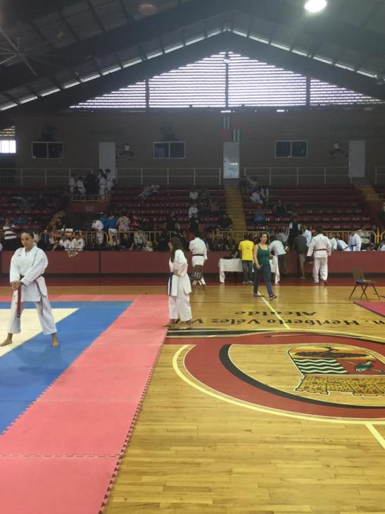 12742804_939815696087770_8223902730936112533_n