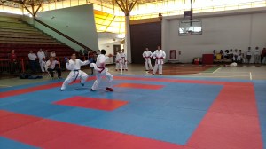 IMG_20160310_111437134-1