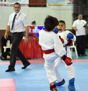 13301447_10153902585938005_2314777489645785707_o