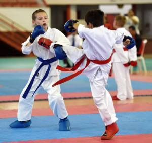 13320802_10153902584893005_9063416553156701255_o