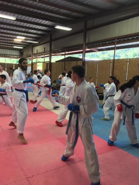 15871668_1709328639378317_1399739630959137279_n