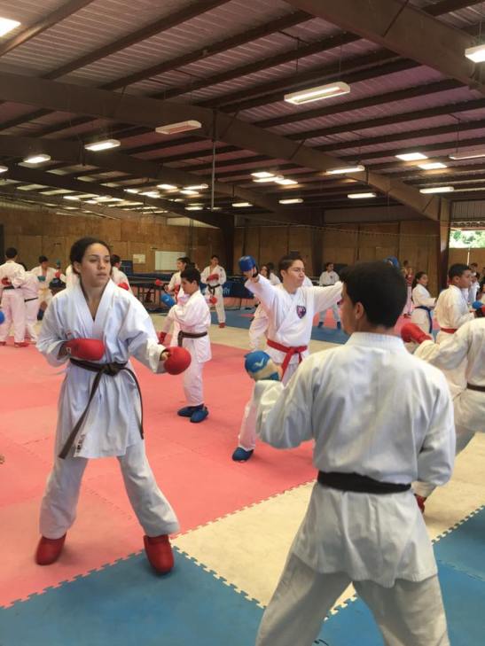 15940778_1709328686044979_8881038314901823445_n